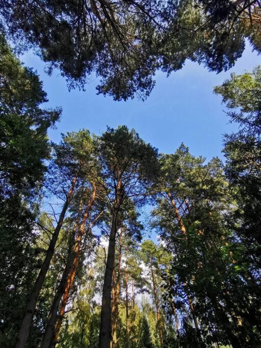 Okno Na Las Wola Polska ภายนอก รูปภาพ
